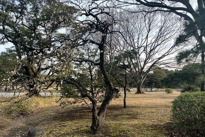Tokyo: Hama-rikyu Gardens tour with Japanese Tea & Sweets - Timing and Flow: How the 90 Minutes Adds Up