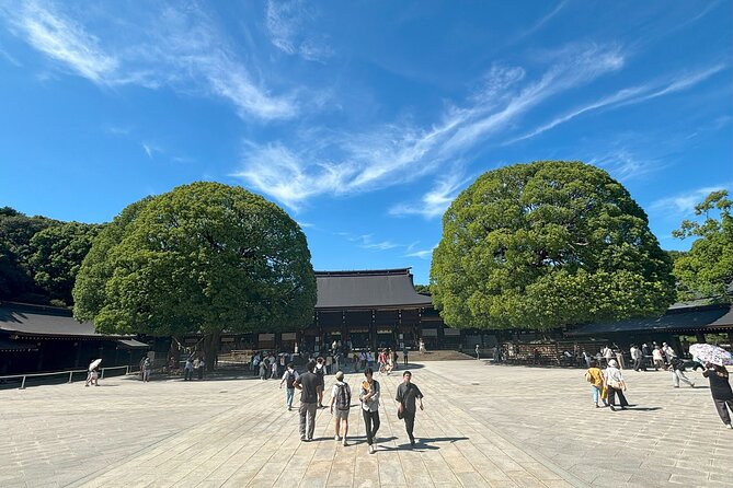 Tokyo Harajuku Walking Tour Meiji Jingu Yoyogi Park and More - Stop 4: Omotesando Avenue for Modern Architecture and Chic Shopping