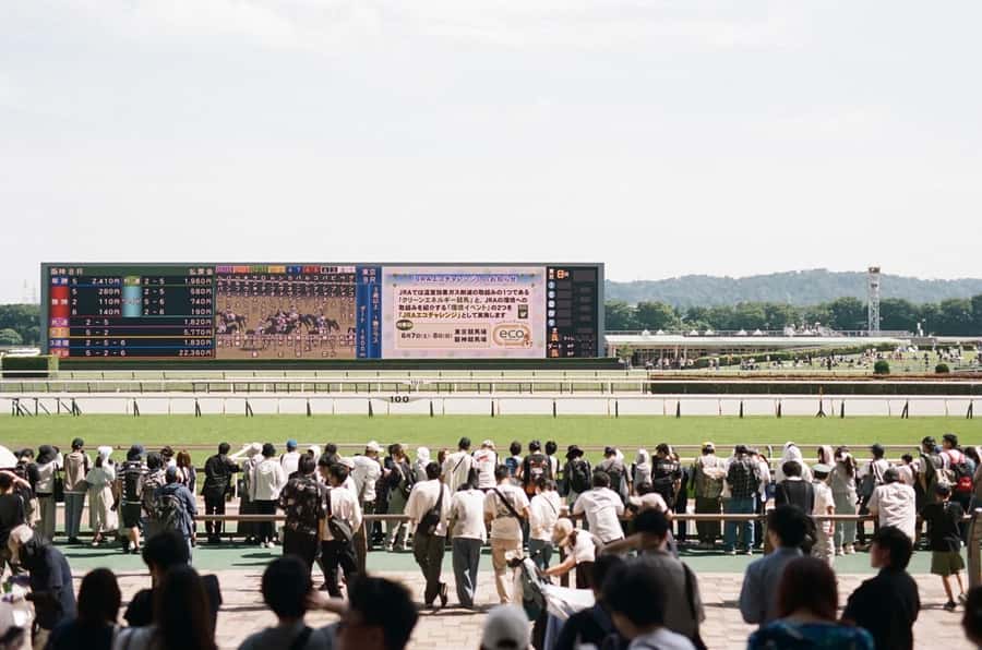 Tokyo: Horse Racing Tour with Local Fan - A Tokyo race day that feels local, not touristy