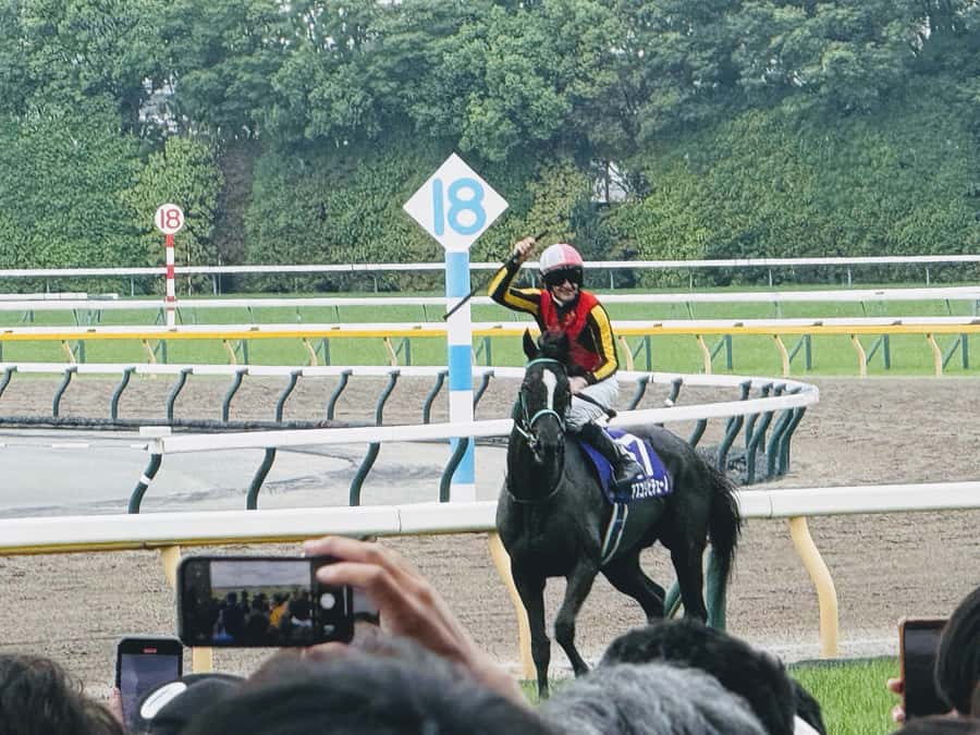 Tokyo: Horse Racing Tour with Local Fan - Meeting your guide and getting settled with reserved seating