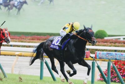 Tokyo: Horse Racing Tour with Local Fan - Racecourse location changes by your date (and that affects the feel)
