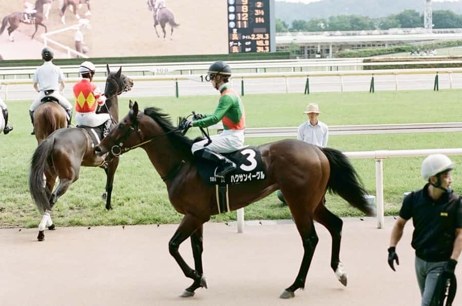 Tokyo: Horse Racing Tour with Local Fan - How you learn to bet when everything is in Japanese