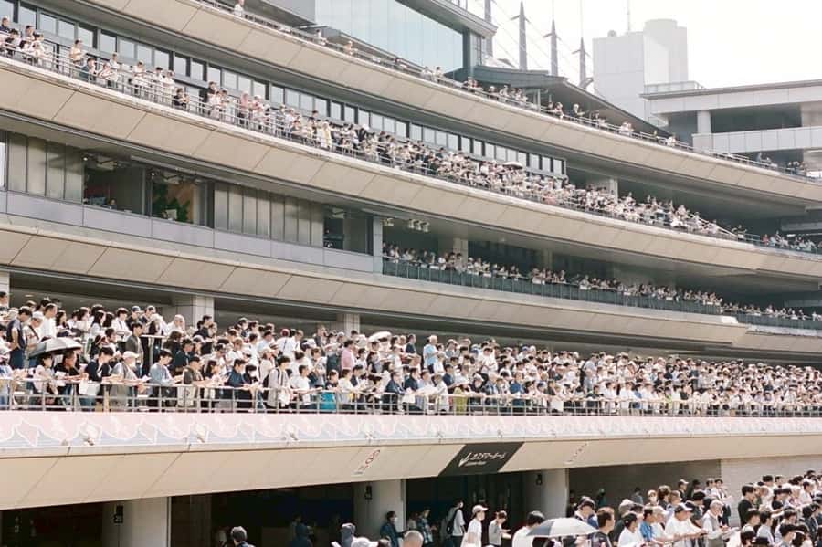 Tokyo: Horse Racing Tour with Local Fan - The race itself: cheering, timing, and those big emotions