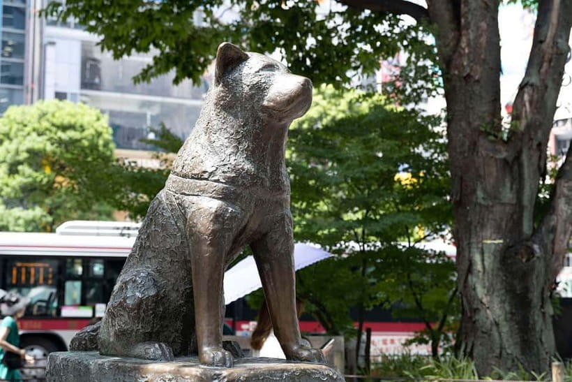 Tokyo: Iconic City Tour – Skytree, Shibuya & Imperial Palace - Meiji Shrine and the Imperial Palace: scenic stops with breathing room