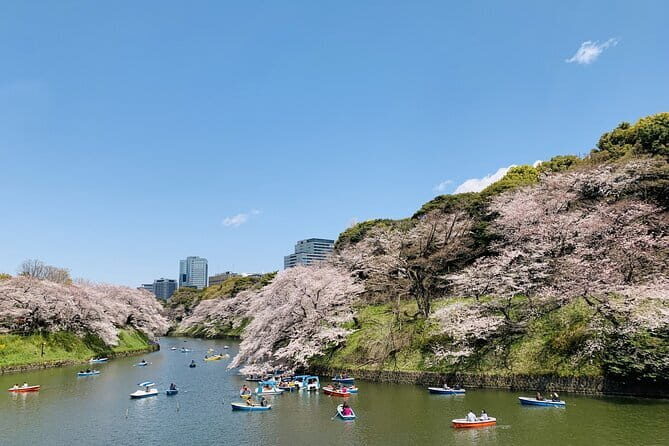 Tokyo Imperial Palace and Heritage of Edo Castle Private Tour - Who This Tour Fits Best