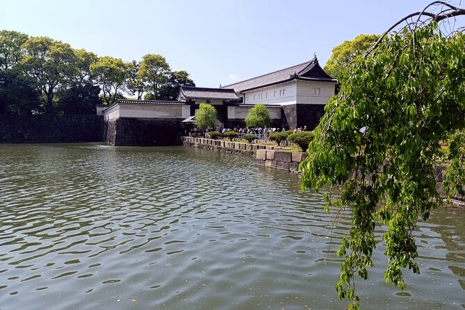 Tokyo: Imperial Palace and Shogun Historical Walking Tour - Timing and pace: what 2 hours feels like in real life