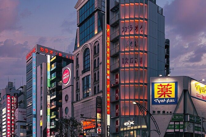 Tokyo in a Day : Private Tour to Shrine, Temples, Towers &Culture - Akihabara Electric Town: Anime, Gadgets, and Smart Browsing