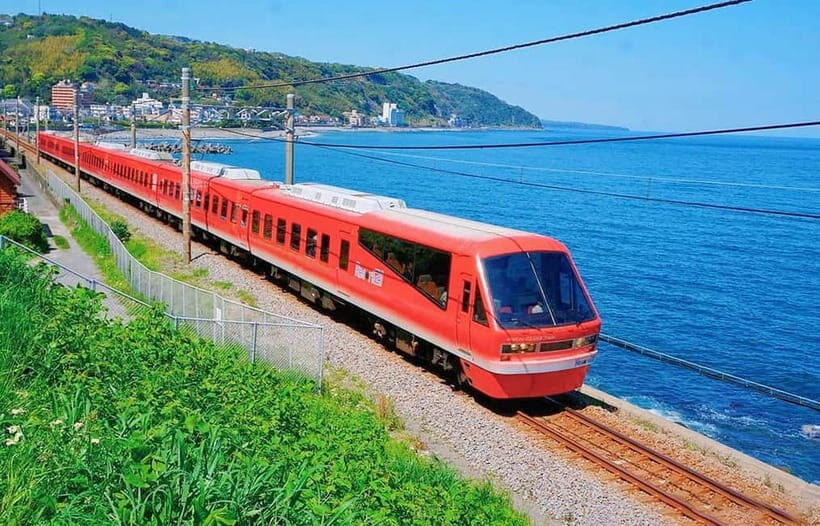 Tokyo: Izu Scenic Oceanview Train, Volcano, Coast Day Trip - Key moments that make this Izu day trip worth it