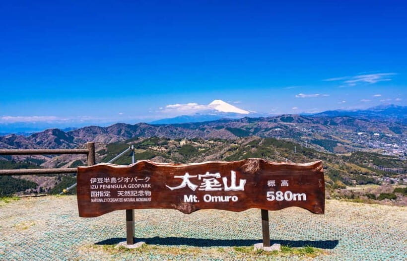 Tokyo: Izu Scenic Oceanview Train, Volcano, Coast Day Trip - Ito Marine Town: quick seaside reset with local sweets and omiyage