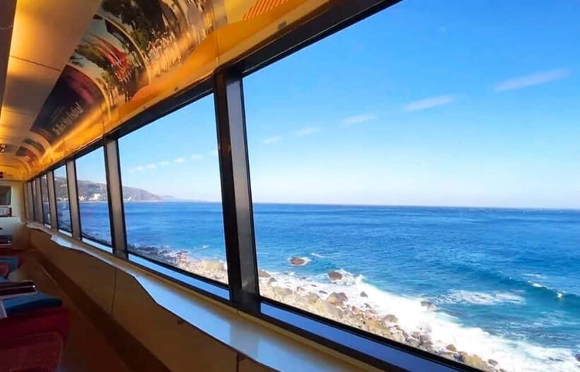 Tokyo: Izu Scenic Oceanview Train, Volcano, Coast Day Trip - Omuroyama extinct volcano: the matcha-pudding cone and 360° summit loop
