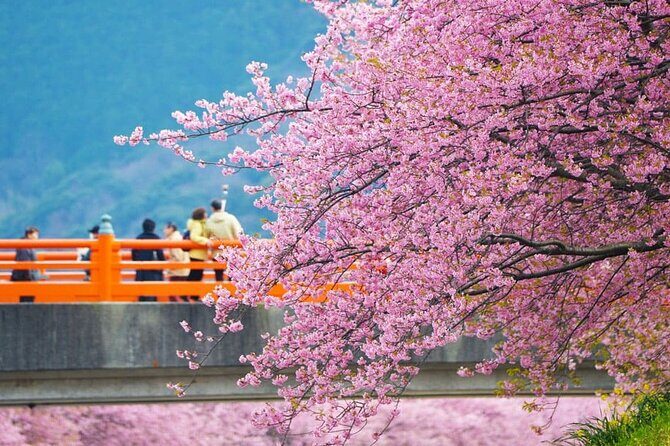 Tokyo-Izu: Volcano, Ocean& Capybara Cuddle with Izu Scenic Train - Who Should Book This Tokyo-Izu Trip (and who should skip it)