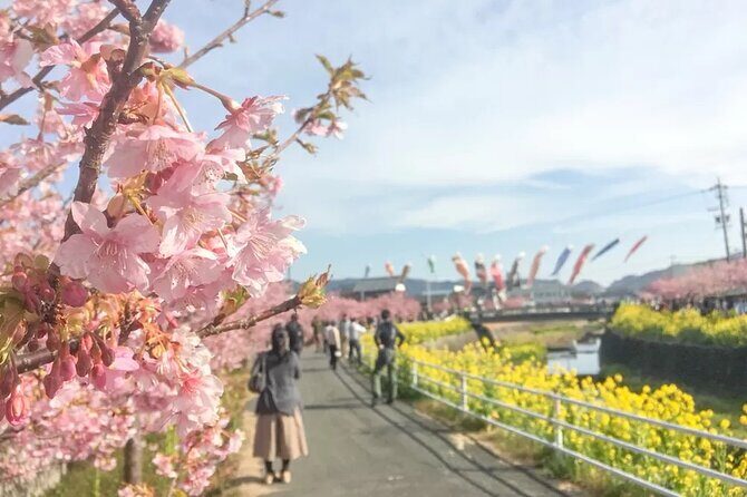 Tokyo-Izu: Volcano, Ocean& Capybara Cuddle with Izu Scenic Train - Should You Book This Tokyo-Izu Volcano and Capybara Day Trip?