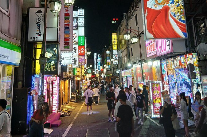 Tokyo Kabukicho Tour & Dinner Party - for Adults Only - Price and value: why $65 can work if you want a guided adult night