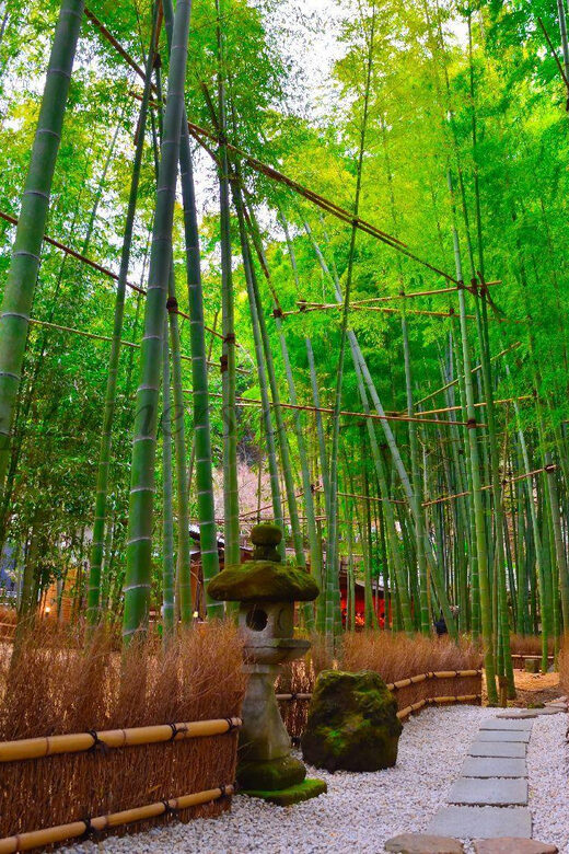 Tokyo: Kamakura Private Tour With Guide - Yuigahama Beach and Komachi Street breaks: sea air and snack time