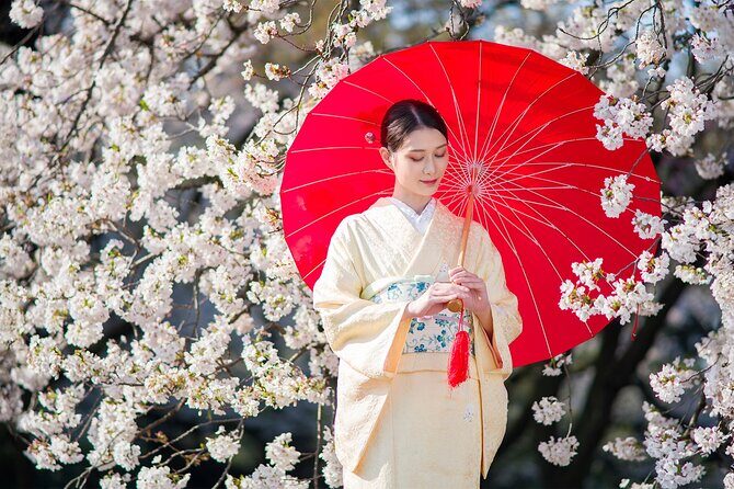 Tokyo: Kimono Experience inside Shinjuku Gyoen National Garden - Women’s hair styling: included basics vs optional upgrades