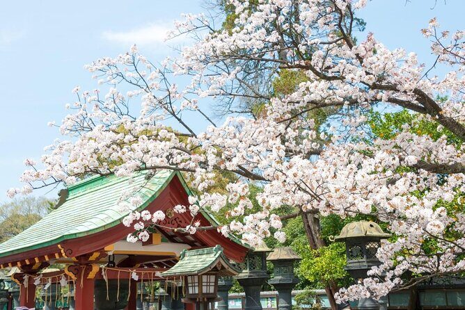 Tokyo Layover Tour with a Local – Private & Tailored to You - Key things I’d plan around