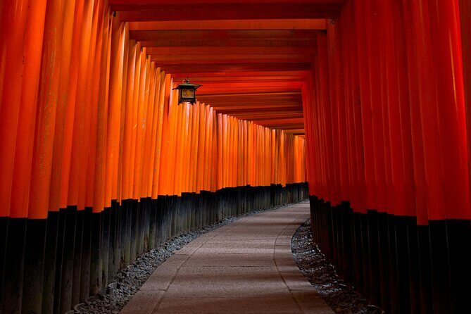 Tokyo Made Easy | Private Chauffeur Day Adventure | Car and Guide - Harajuku Station area and Meiji Jingu: street style to shrine quiet