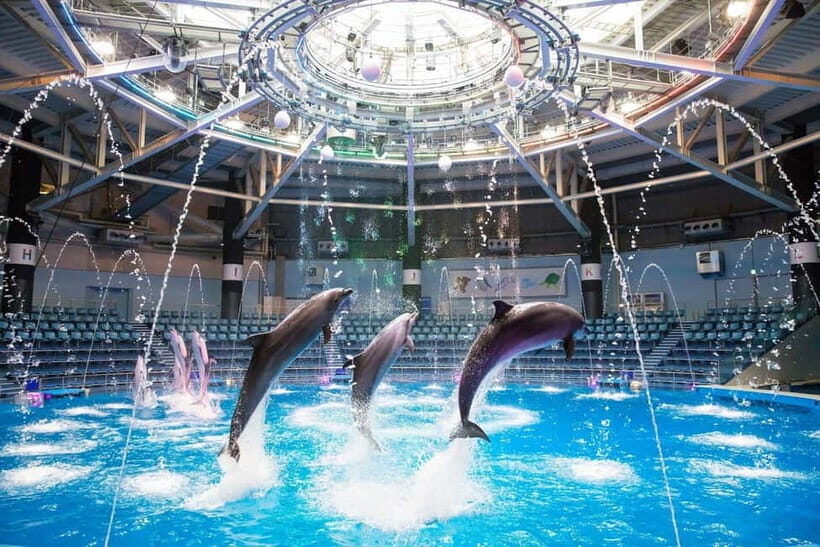 Tokyo: Maxell Aqua Park Shinagawa Direct Entry Ticket - Key highlights you’ll care about