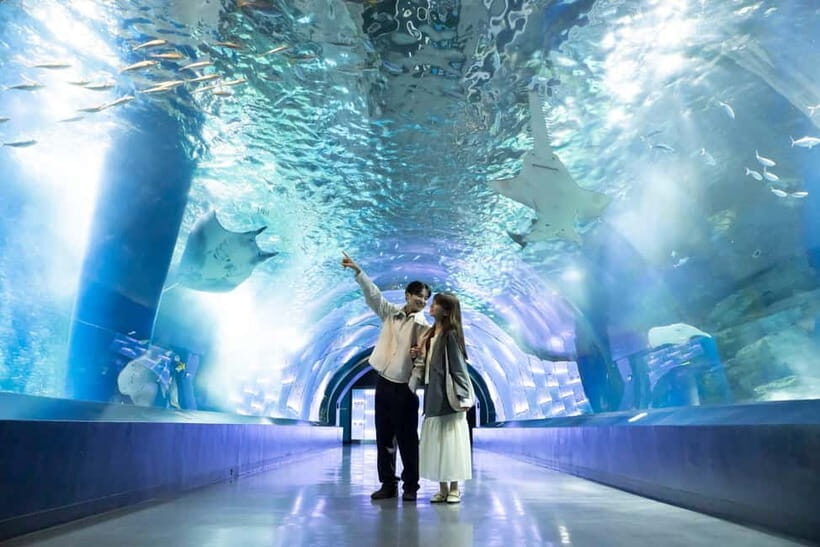 Tokyo: Maxell Aqua Park Shinagawa Direct Entry Ticket - Your one-day flow: how the aquarium experience usually works