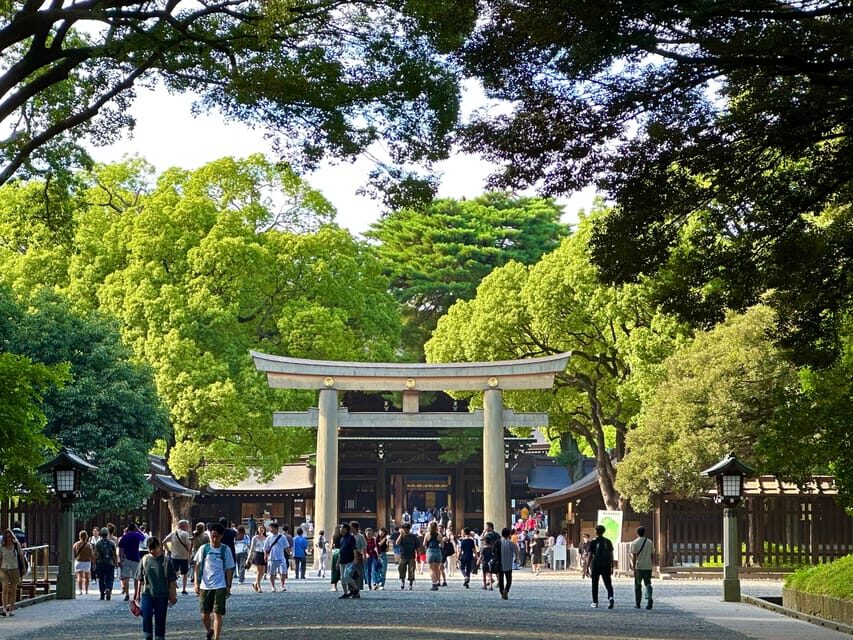Tokyo: Meiji Jingu Shrine and Shinto Culture Walking Tour - Consecrated Sake Barrels and Wine Barrels: Offerings With Real Meaning