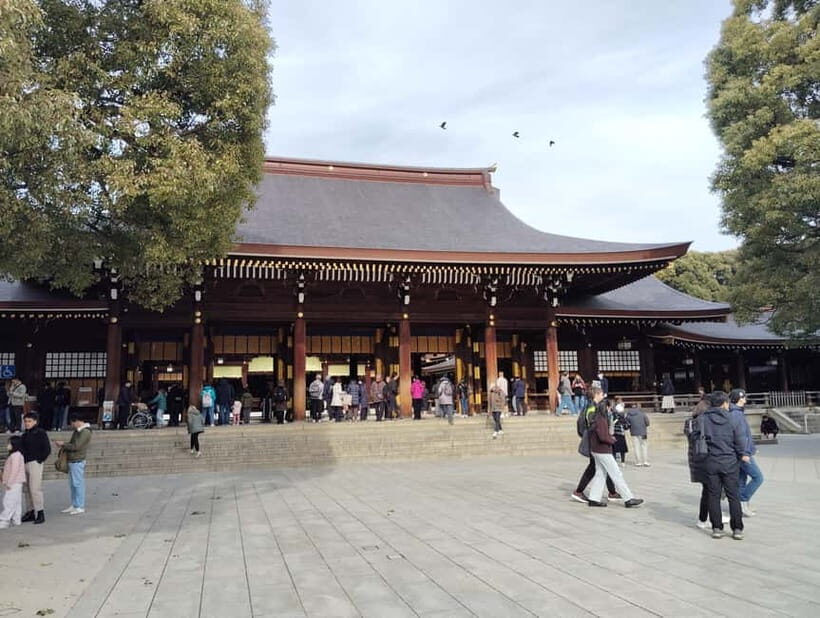 Tokyo: Meiji Jingu Shrine & Inner Garden Guided Tour (2h) - Omikuji, fortune-telling, and optional protective charm