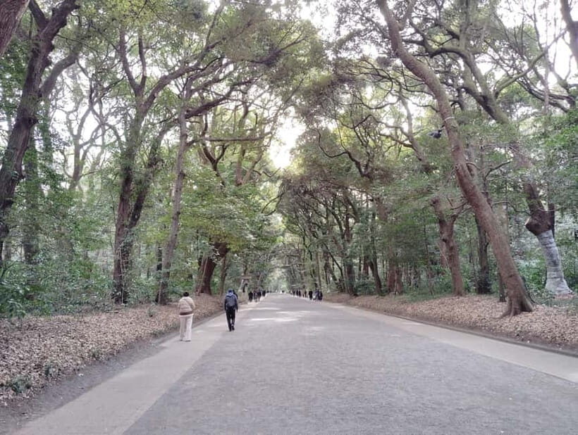 Tokyo: Meiji Jingu Shrine & Inner Garden Guided Tour (2h) - Shinen Garden walk: South Pond first, then Kiyomasa’s Well