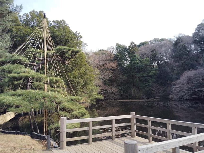 Tokyo: Meiji Jingu Shrine & Inner Garden Guided Tour (2h) - 2 hours, small groups, and how to get the most out of it