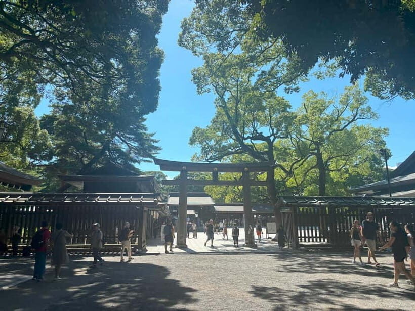 Tokyo: Meiji Jingu, Yoyogi Park & Takeshita Street Tour - Price and value: $36 for a 3-hour guided mix