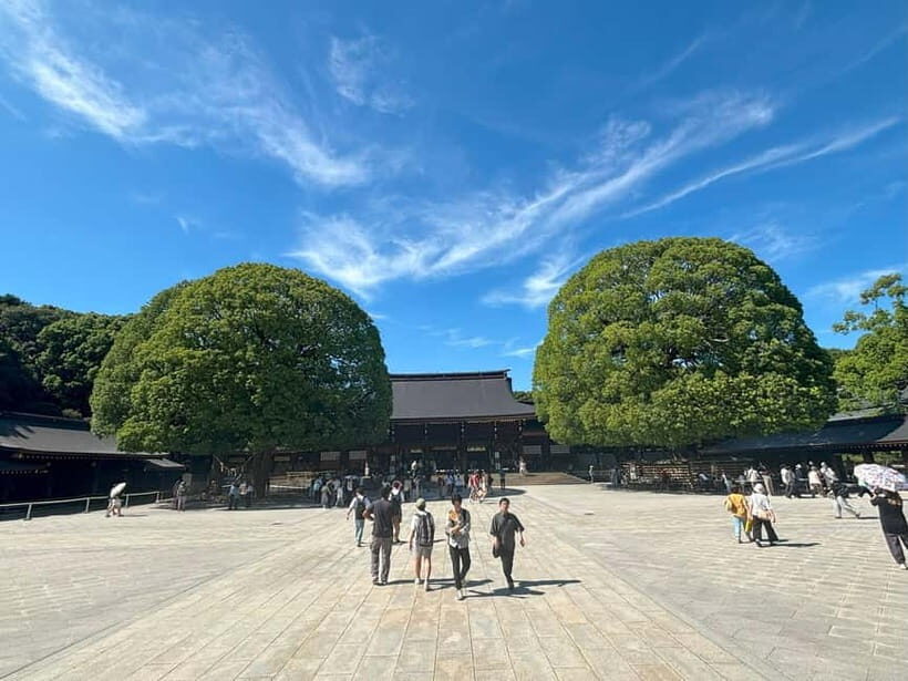 Tokyo: Meiji Jingu, Yoyogi Park & Takeshita Street Tour - Who this tour suits best (and who should reconsider)
