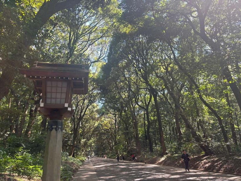 Tokyo: Meiji Jingu, Yoyogi Park & Takeshita Street Tour - Meiji Jingu from Harajuku: the quiet shock of Tokyo