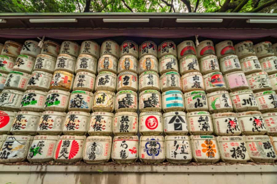 Tokyo: Meiji Shrine Walking Tour with Local Guide - The torii gate rules you’ll actually remember