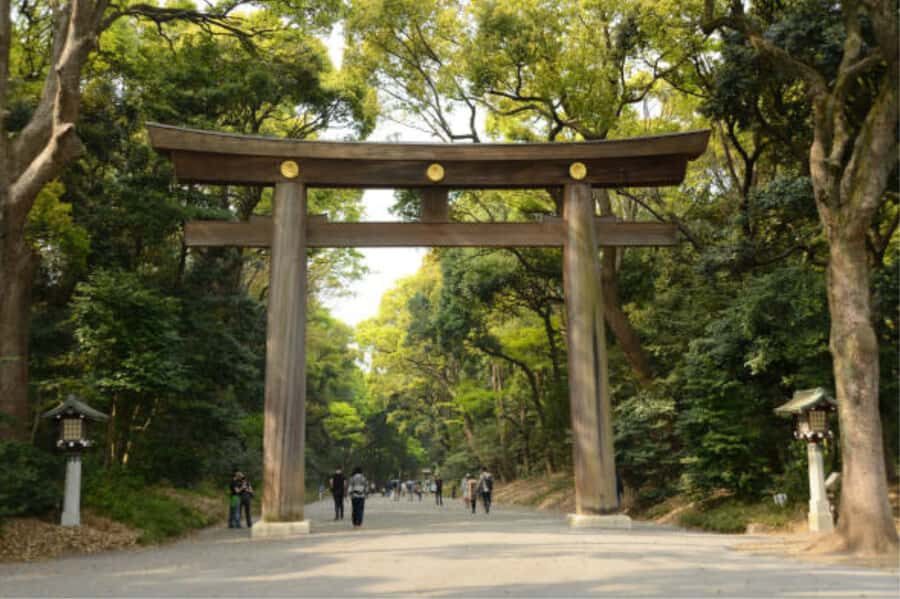 Tokyo: Meiji Shrine Walking Tour with Local Guide - Outer Worship Hall: bow, cleanse, and pray the traditional way