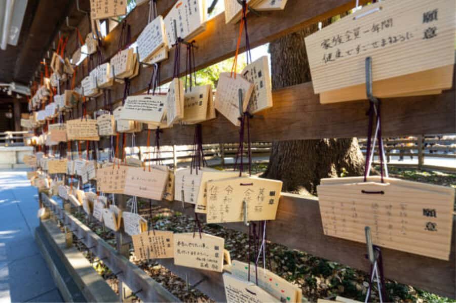Tokyo: Meiji Shrine Walking Tour with Local Guide - Details that most visitors miss: stones and the back of the main hall