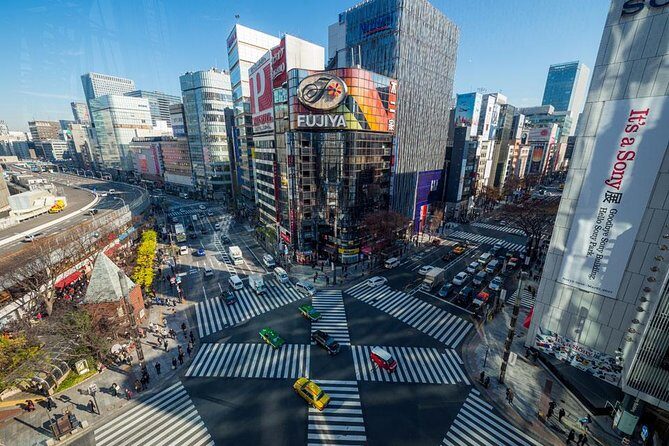 Tokyo Metropolis - Cost and Value: $158.52 for Up to 2, Plus a Real Guide