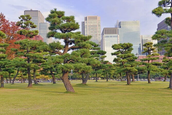 Tokyo Morning Small Group Tour - Nijubashi Bridge Views: The Photo Stop That Makes the Route Click