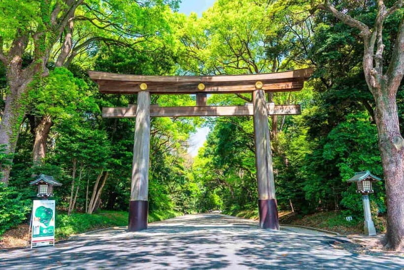 Tokyo Morning Tour: Meiji Shrine, Asakusa & Fish Market - Meiji Jingu Shrine: calm, customs, and the Shinto–Buddhism story