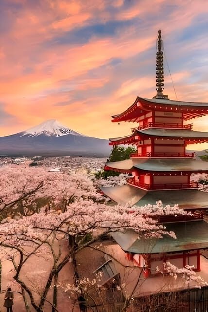 Tokyo: Mount Fuji and Hakone private sightseeing tour - The Mt. Fuji 5th Station moment: ticketed and weather-dependent