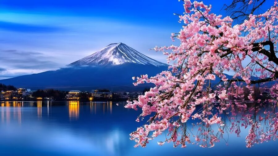 Tokyo: Mount Fuji and Hakone private sightseeing tour - Starting with Arakurayama Sengen Park: the view-and-photo opener
