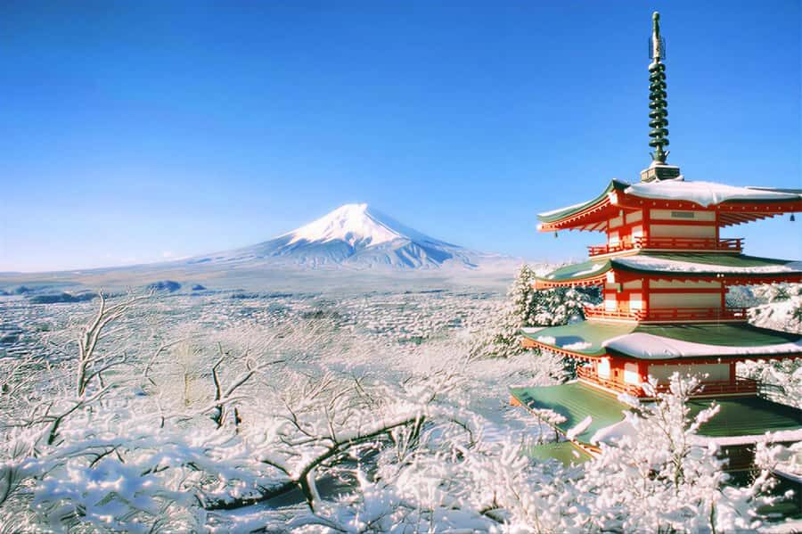Tokyo: Mount Fuji Day Trip with Scenic & Local Stops - Why This Mount Fuji Day Trip Works (Even When Weather Has Ideas)