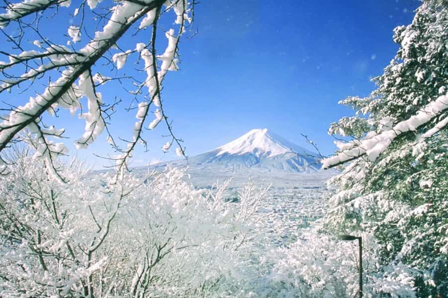 Tokyo: Mount Fuji Day Trip with Scenic & Local Stops - Niikurayama Asama Park: Hilltop Panoramas and Composition Tricks