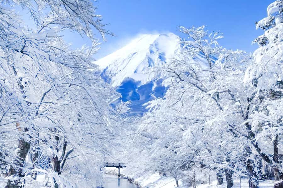 Tokyo: Mount Fuji Day Trip with Scenic & Local Stops - Hikawa Clock Shop: The Retro Facade Photo Tutorial