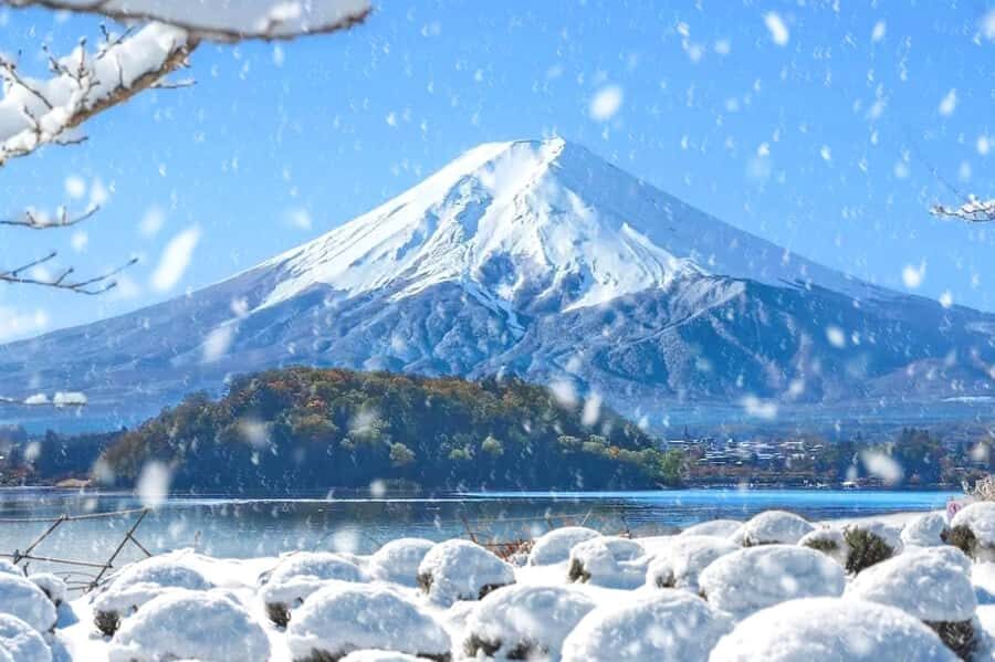 Tokyo: Mount Fuji Day Trip with Scenic & Local Stops - Fuji Lawson Store: Blue-White Logo Photos and Fuji Snacks