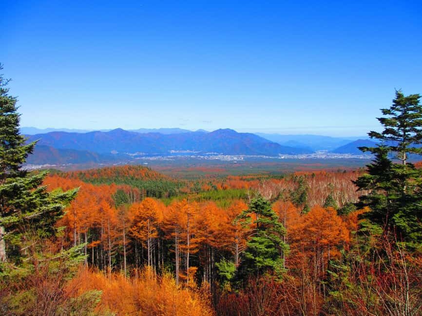 Tokyo: Mount Fuji, Gotemba & Hakone Day Trip by Luxury Bus - Key points worth knowing before you go