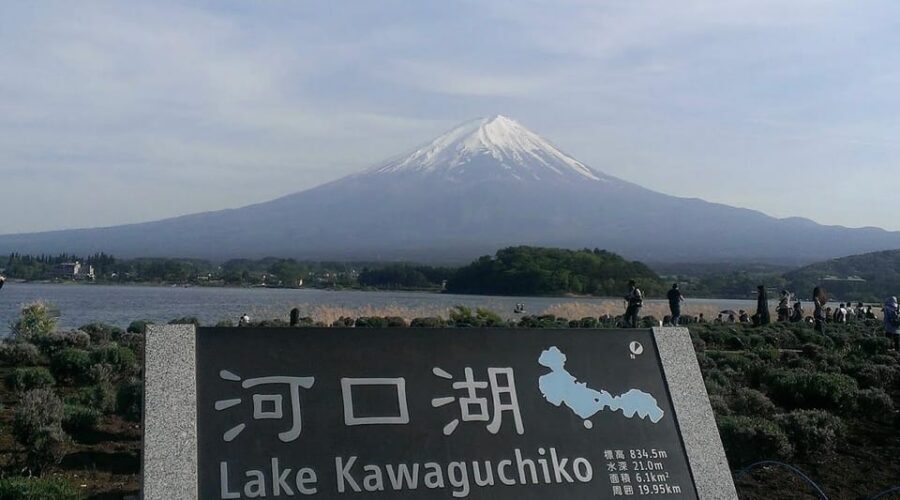 Tokyo: Mount Fuji & Hakone Private Customized Full Day Tour - Pickup, English-speaking driver, and getting out of Tokyo without stress
