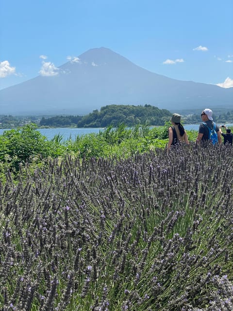Tokyo: Mount fuji & Hakone Private Day Tour - Arakurayama Sengen Park and the Chureito Pagoda View Game
