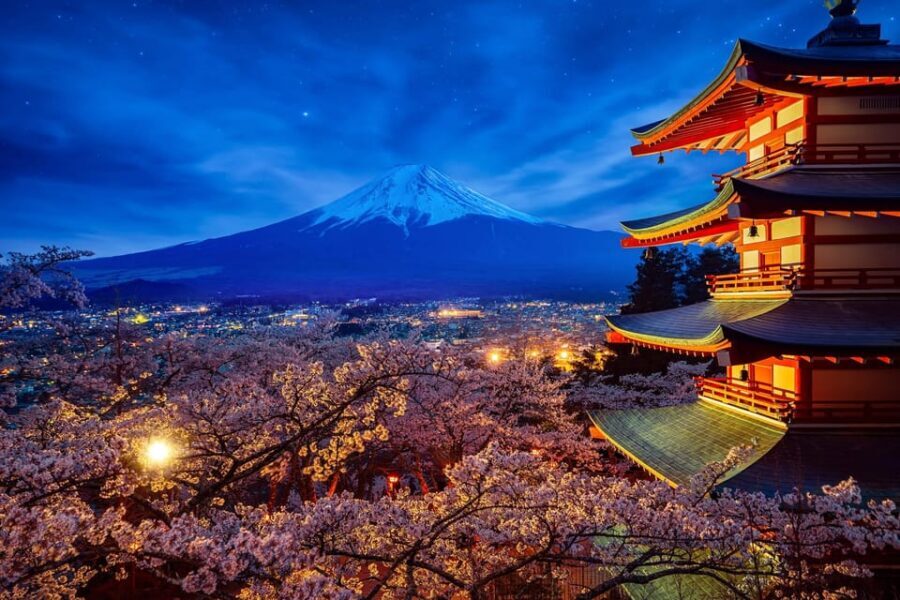 Tokyo: Mount Fuji & Hakone Private Tour with Guide - Lake Ashi cruise: mountains, water, and another Fuji angle