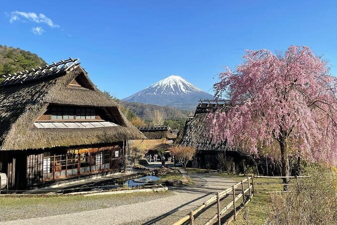 Tokyo: Mount Fuji Must-see Attractions One Day Sightseeing Tour - Price and what it really covers (and what it doesn’t)