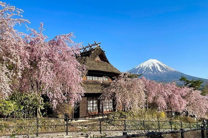 Tokyo: Mount Fuji Must-see Attractions One Day Sightseeing Tour - Saiko Iyashi no Sato Nemba: the traditional village photo stop