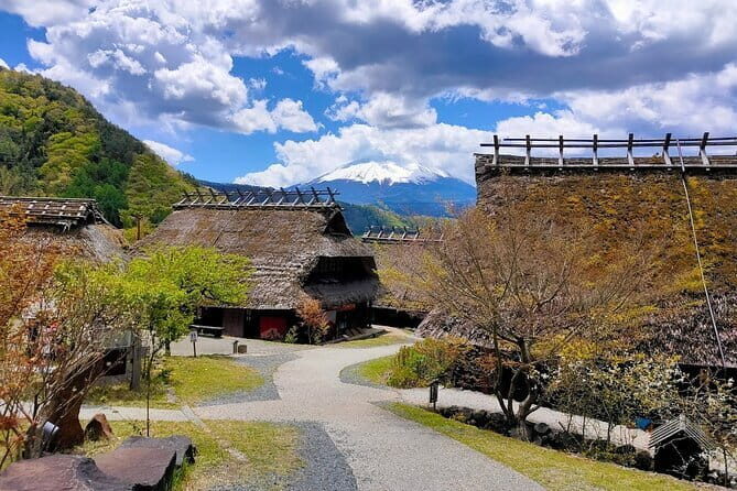 Tokyo: Mount Fuji Must-see Attractions One Day Sightseeing Tour - Group size, guides, and the bus vibe
