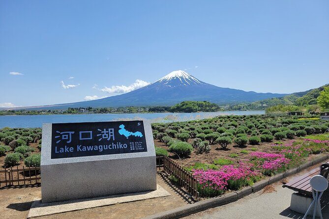 Tokyo: Mount Fuji One Day Trip Lake Kawaguchi & Lake Yamanaka - Oishi Park: flowers, promenade, and Fuji in the same frame